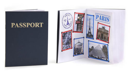 Passport Book Blank Package of 100