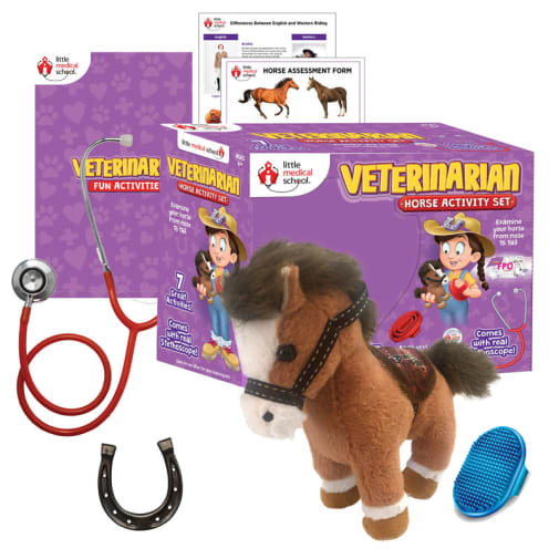 Little Medical Scool Veterinarian Horse Activity Set