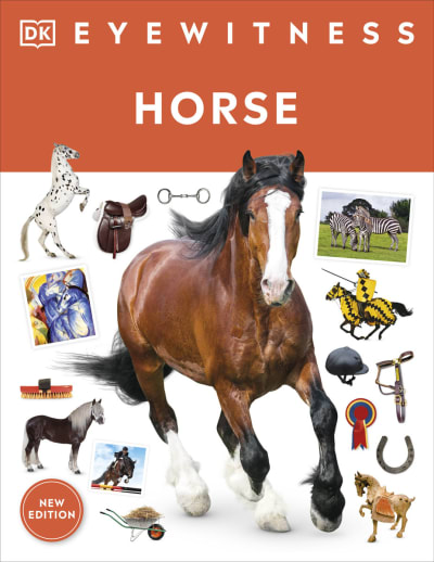 Horse (Eyewitness Book)