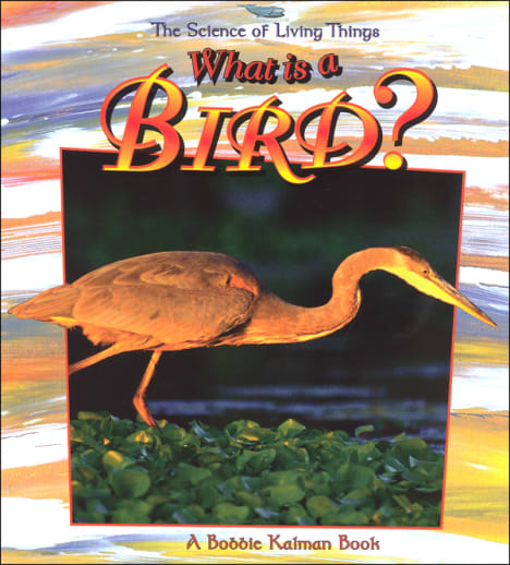 What is a Bird?