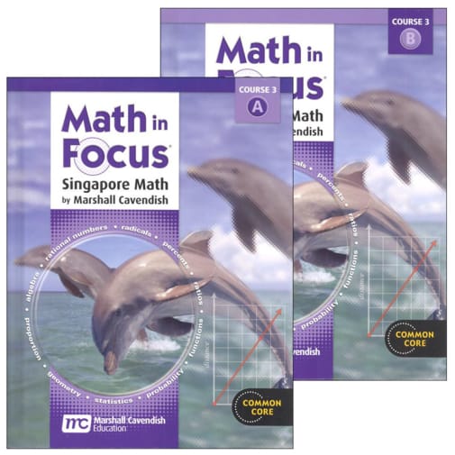 Math in Focus Course 3 Student Book A & B Set