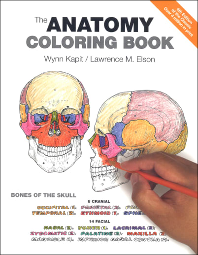 Anatomy Coloring Book 4ED