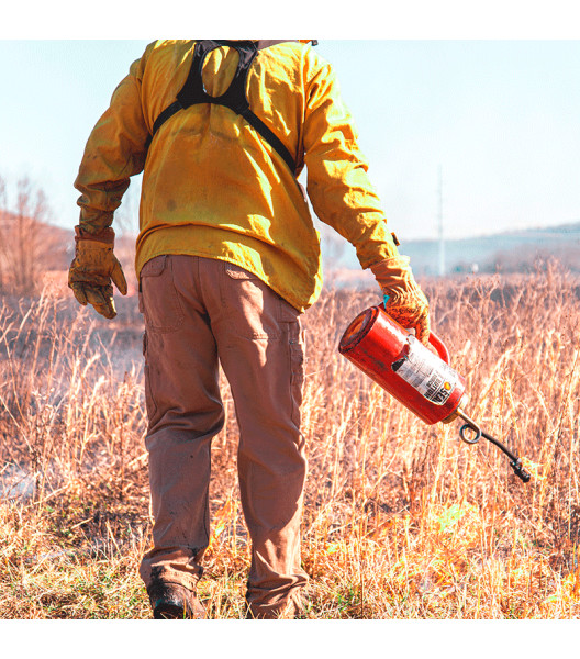Lined Premium Grain Cowhide Driver with Palm Patch, Golden, large
