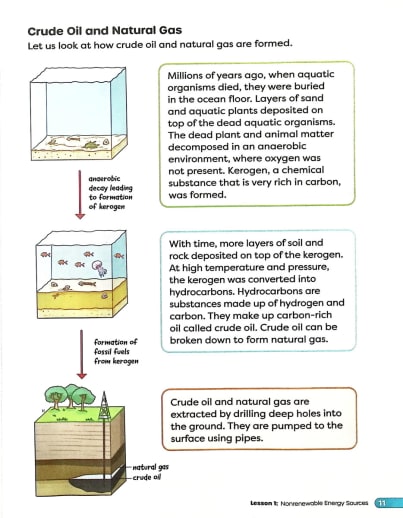 Primary Science Worktext Grade 5 Book A