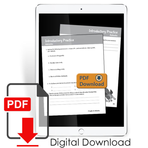 Well-Ordered Language Level 1A Extra Practice & Assessments (Digital File)