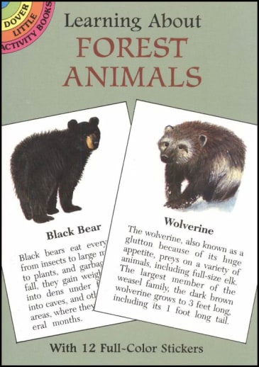 Learning About Forest Animals