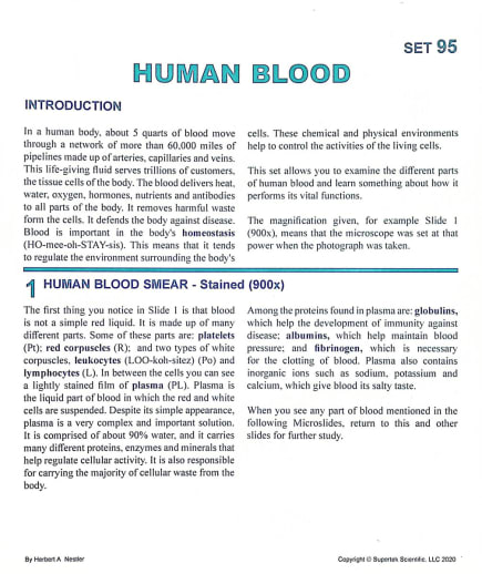 Human Blood Microslide Lesson Set