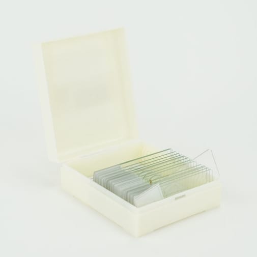 Prepared Biology Slides (25)