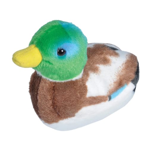 Audubon Bird: Mallard Duck with Bird Call