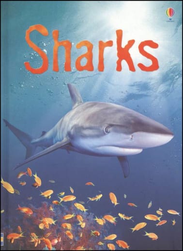 Sharks (Usborne Beginners)