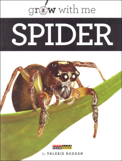 Spider (Grow With Me)