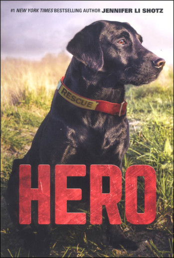 Hero by Jennifer Li Shotz