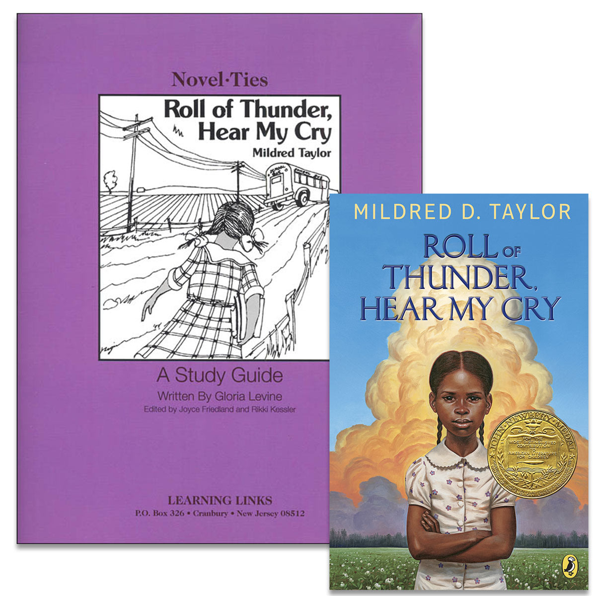 Roll of Thunder, Hear My Cry Novel-Ties Study Guide & Book Set
