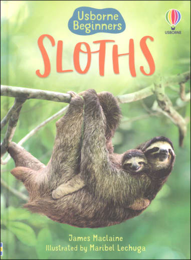 Sloths (Usborne Beginners)