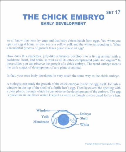 Chick Embryo Microslide Lesson Set