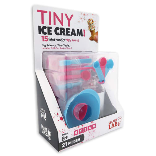 Tiny Ice Cream Kit