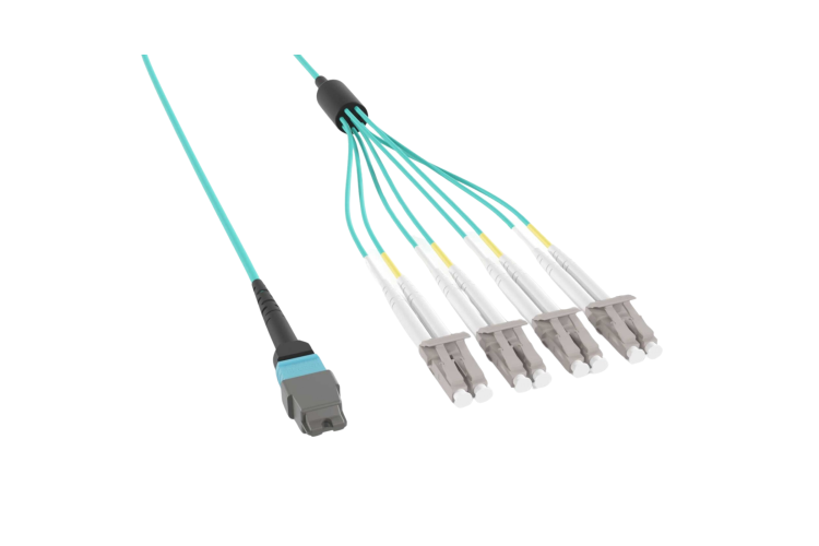 MTP® Female to 4x LC Duplex OM4 Multimode 8-Fiber Breakout Cable, Type B, OFNP, 7m