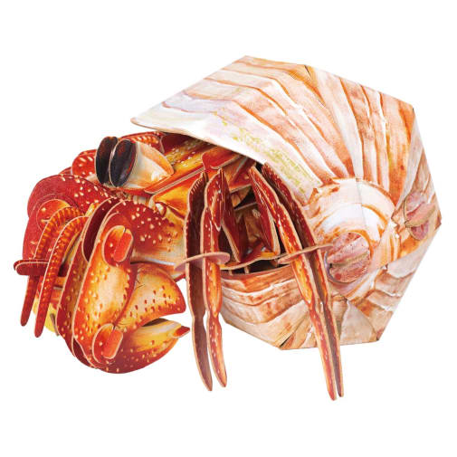 Bring Nature Home - Hermit Crab 3D Puzzle (Large)