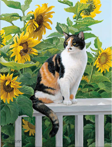 Sunflower Sactuary Boxed Note Cards