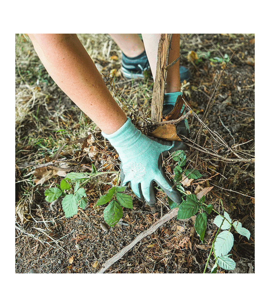 Women&rsquo;s Bamboo-Nylon Knit Shell & Sandy Foam Latex Palm, Blue, large image number 3