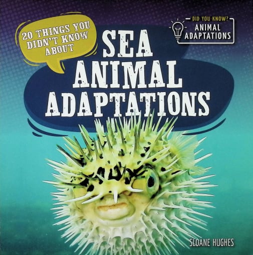 Sea Animal Adaptations (20 Things You Didn't Know About)
