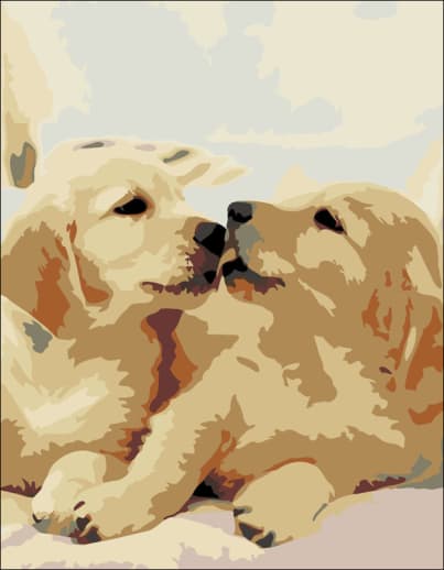 Artwille Paint by Number - Two Labradors