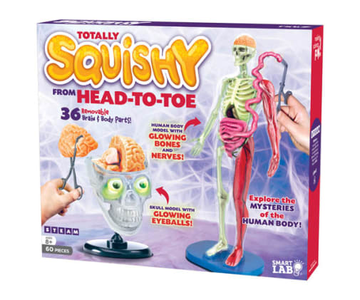 Totally Squishy From Head-To-Toe