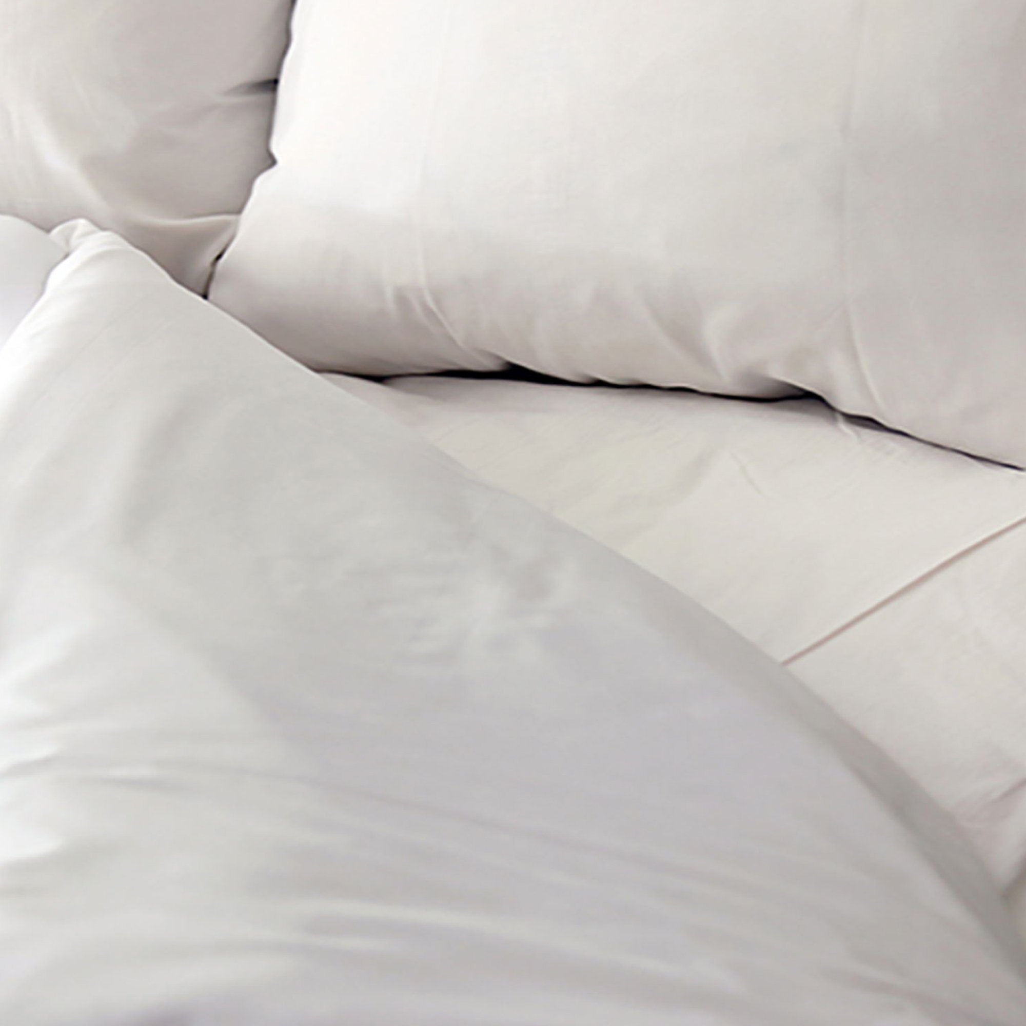 T130 Basic Plus Fitted Bed Sheet, 36 x 84 Inch MK 1123376