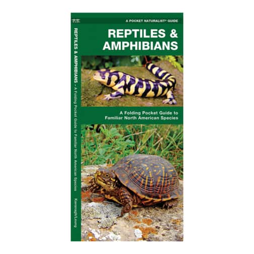 Reptiles & Amphibians Pocket Guide