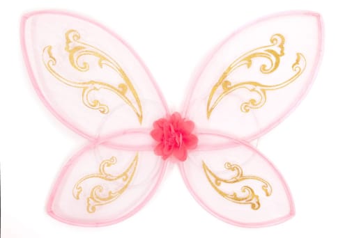 Little Adventures Butterfly Fairy Wings