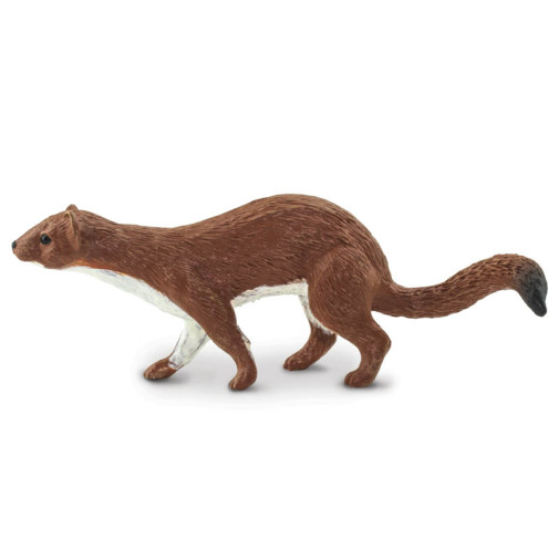 Weasel (Wild Safari North American Wildlife)