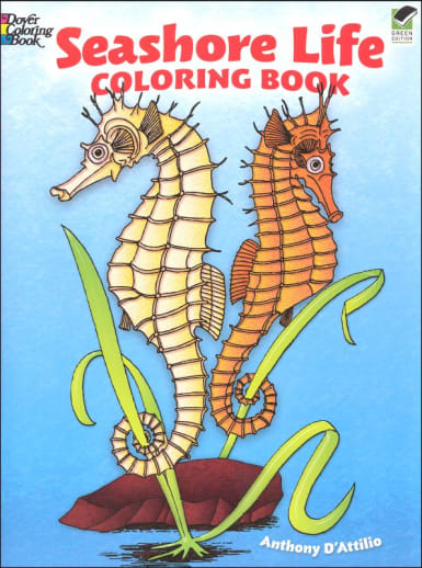 Seashore Life Coloring Book
