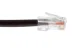 75ft Black Non-Booted CAT6 Ethernet Patch Cable