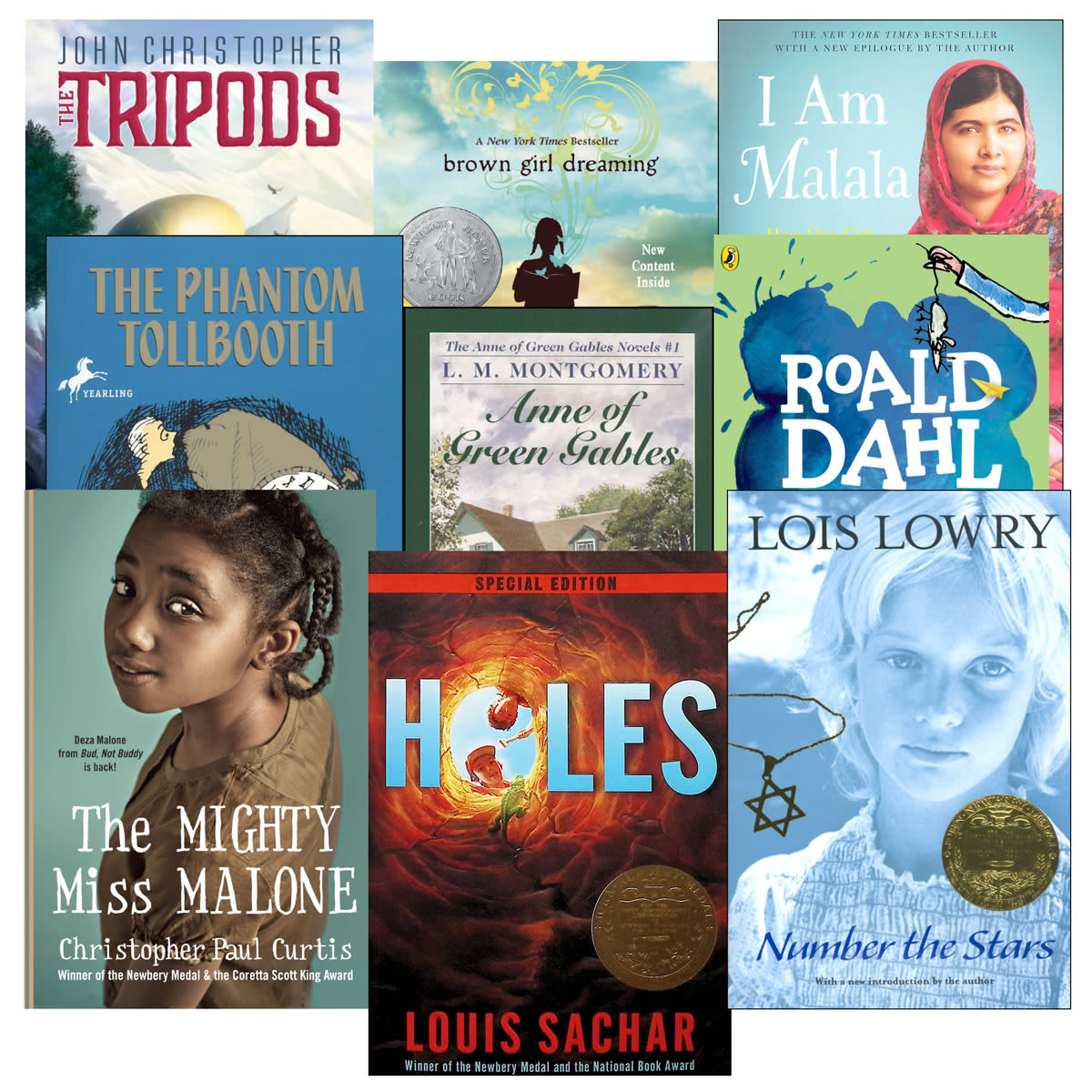 Lightning Literature Grade 5 Literature Only