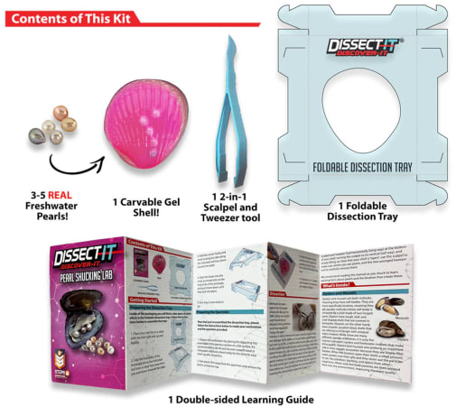 Metis Gretel / Subliminal Dissection セット Dissect-It® Rattlesnake Super Lab — Piccolo Mondo Toys