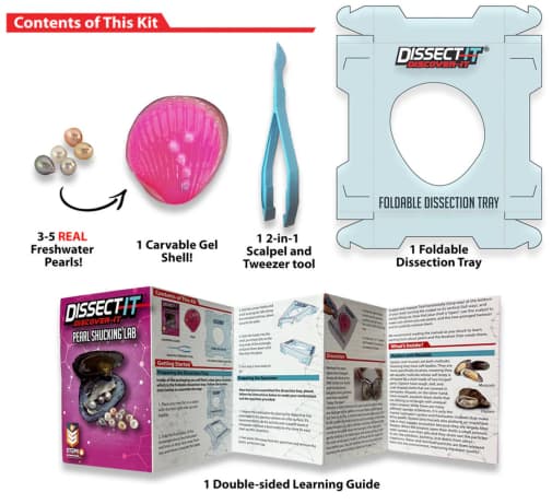 Dissect-It Mini Pearl Shucking Lab