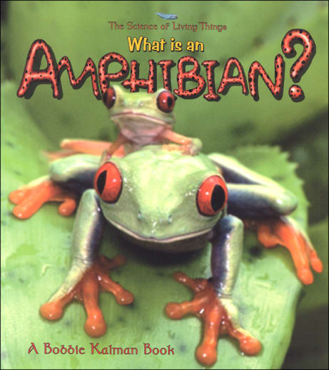 What is an Amphibian?