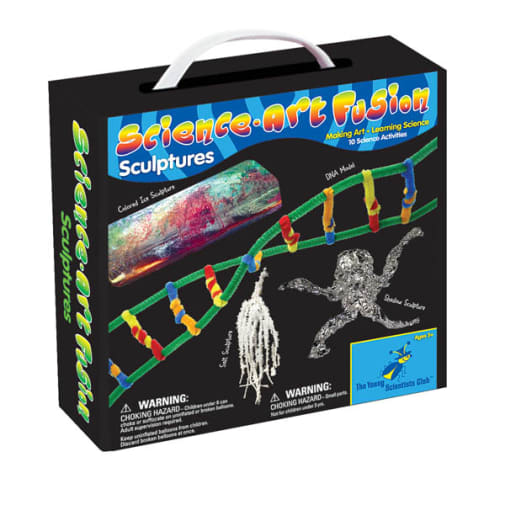 Science-Art Fusion Sculptures Kit