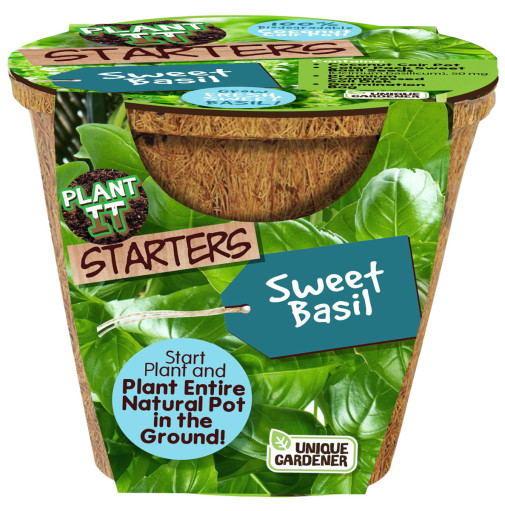 Sweet Basil