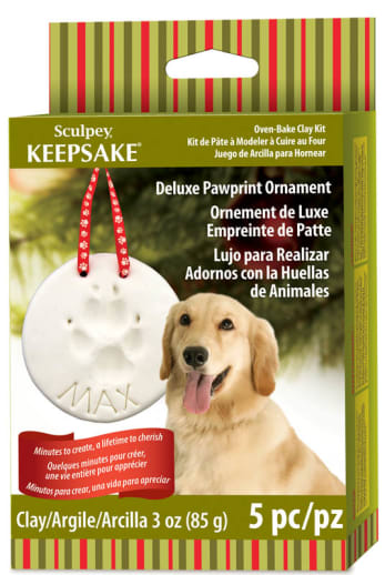 Sculpey Air Dry Keepsake Kit