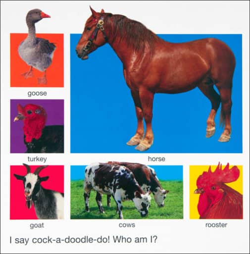 fd338cd05b657dccbdb98476602865