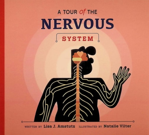 Tour of the Nervous System (Welcome to Your Body)