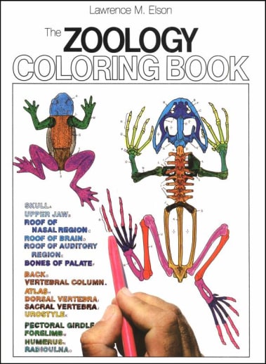 Zoology Coloring Book