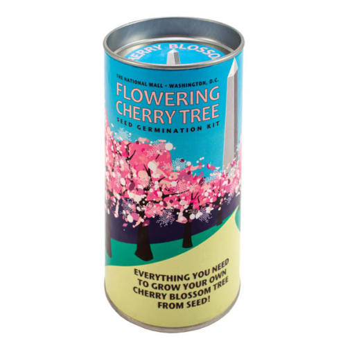 Cherry Blossom Grow-A-Tree Kit
