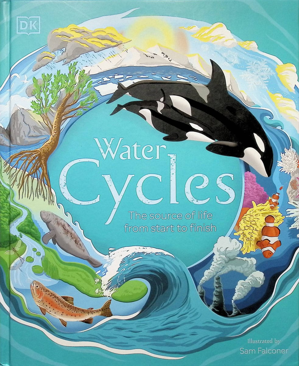 Water Cycles