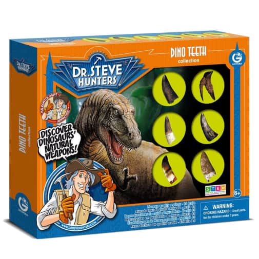 Dino Teeth Replica Collection (6 pieces)