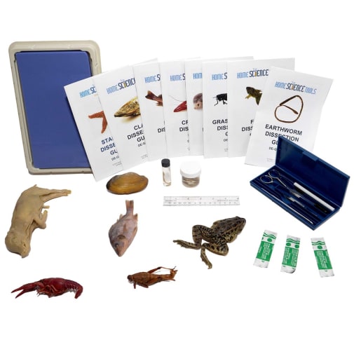 Advanced Dissection Kit