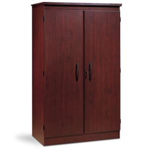 2-Door Storage Cabinet