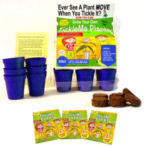 Grow Your Own TickleMe Plants