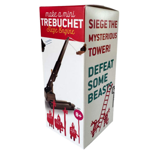 Make a Mini Trebuchet Kit